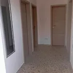 House Daniela *